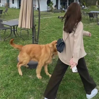 我们曾深爱过的男人